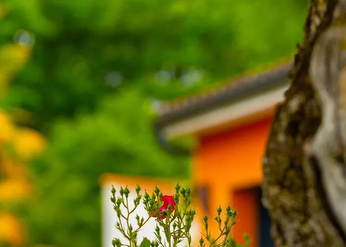 Villa Villa-des-eaux Claires *